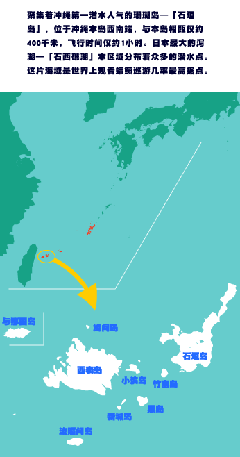 聚集着冲绳第一潜水人气的珊瑚岛—「石垣岛」,位于冲绳本岛西南端,与本岛相距仅约400千米,飞行时间仅约1小时。日本最大的泻湖—「石西礁湖」本区域分布着众多的潜水点。这片海域是世界上观看蝠鲼巡游几率最高据点。