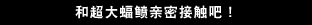 和超大蝠鲼亲密接触吧！