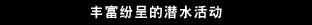 丰富纷呈的潜水活动