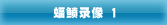 蝠鲼录像 1