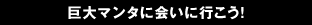巨大マンタに会いに行こう！